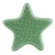 Green Star Crackle Ceramic Wine Bottle Stopper